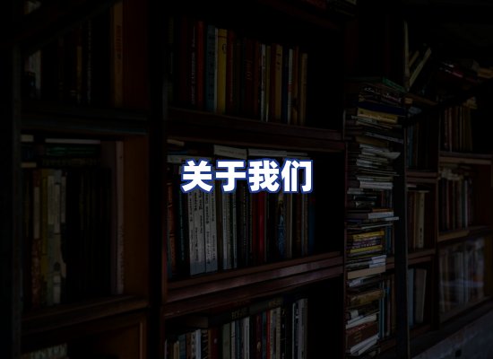 专业团队